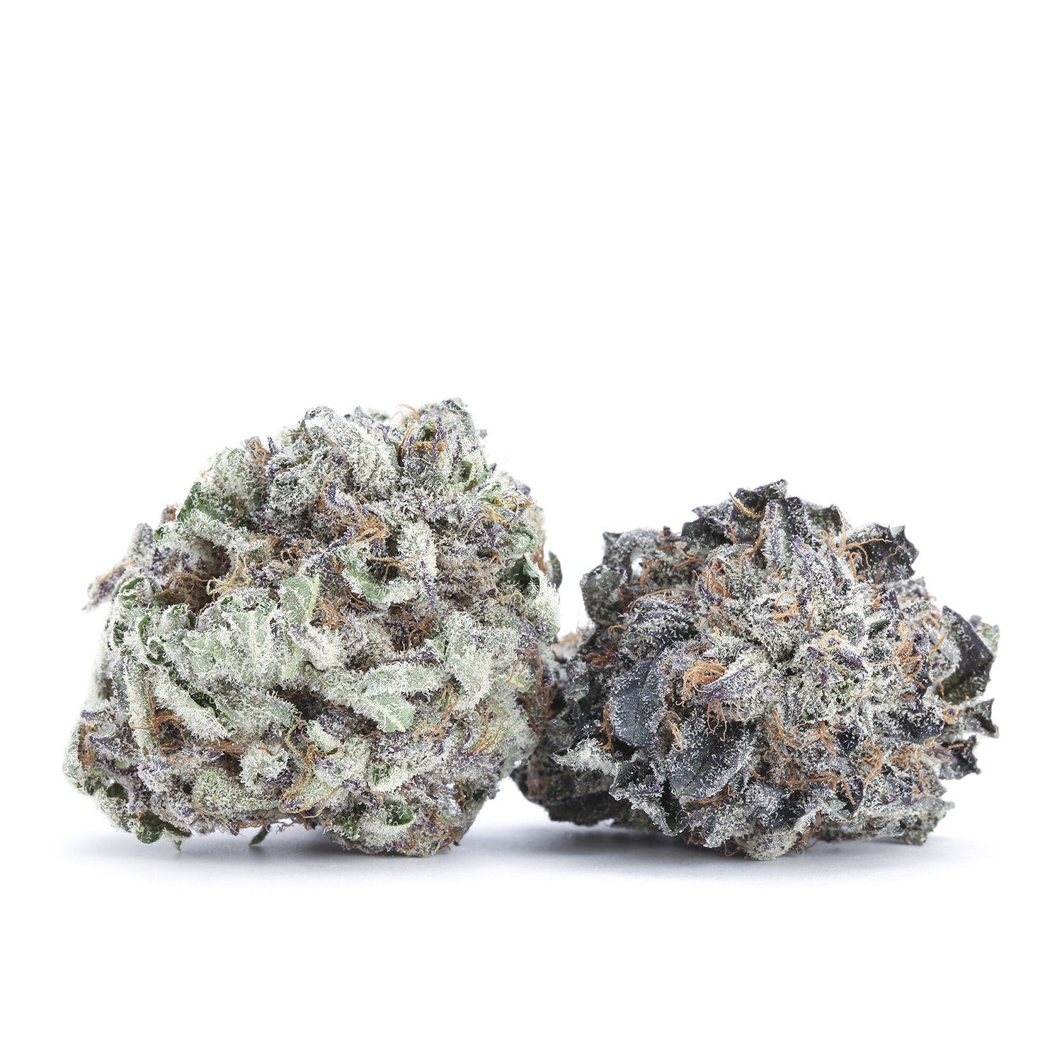 flowers-purple-god-group-191010