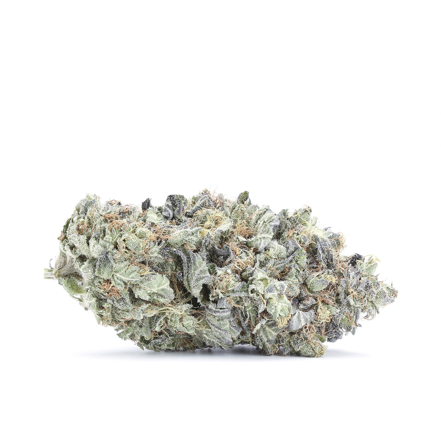 gold-flowers-blueberry-grapevine-single-191024