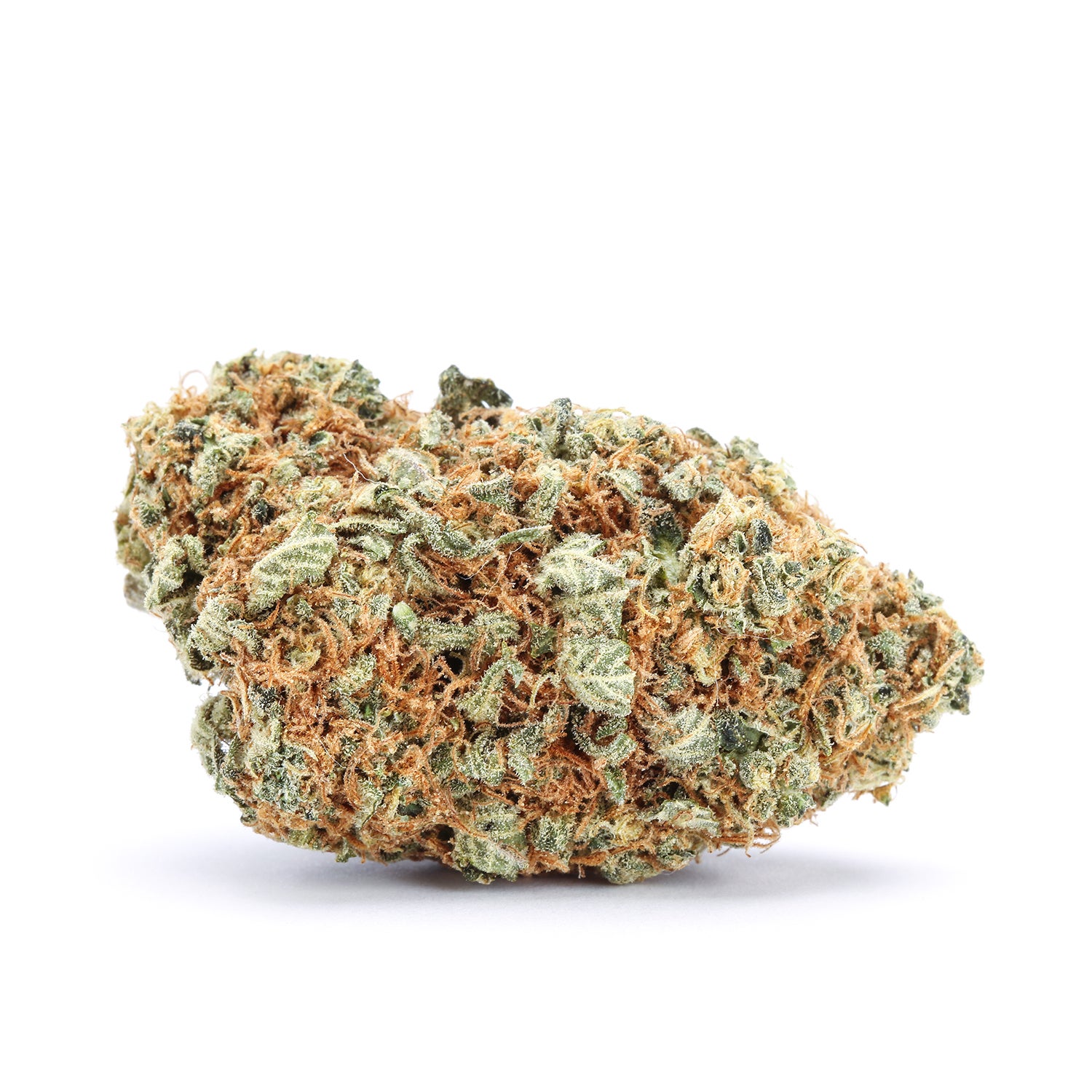 flowers-golden-cobra-single-200525