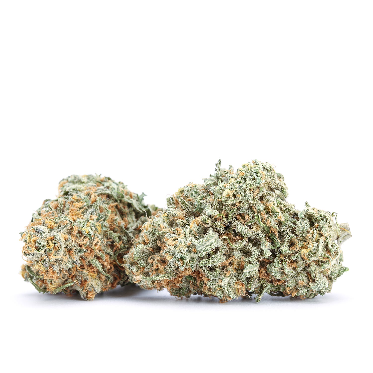 Strain Overview: The Allure of Blue Dream Strain