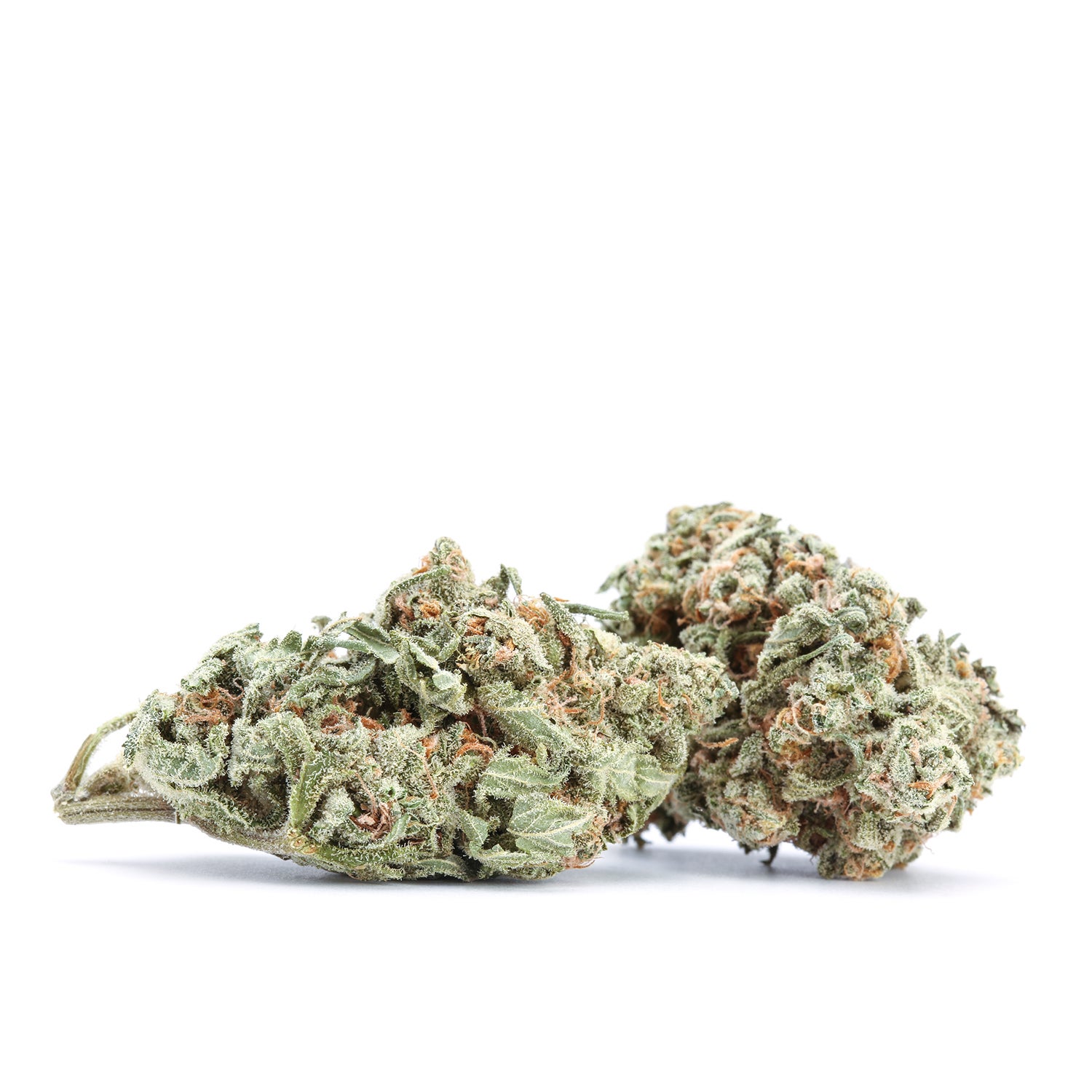 Gelato Strain: A Flavourful Trip Down Memory Lane