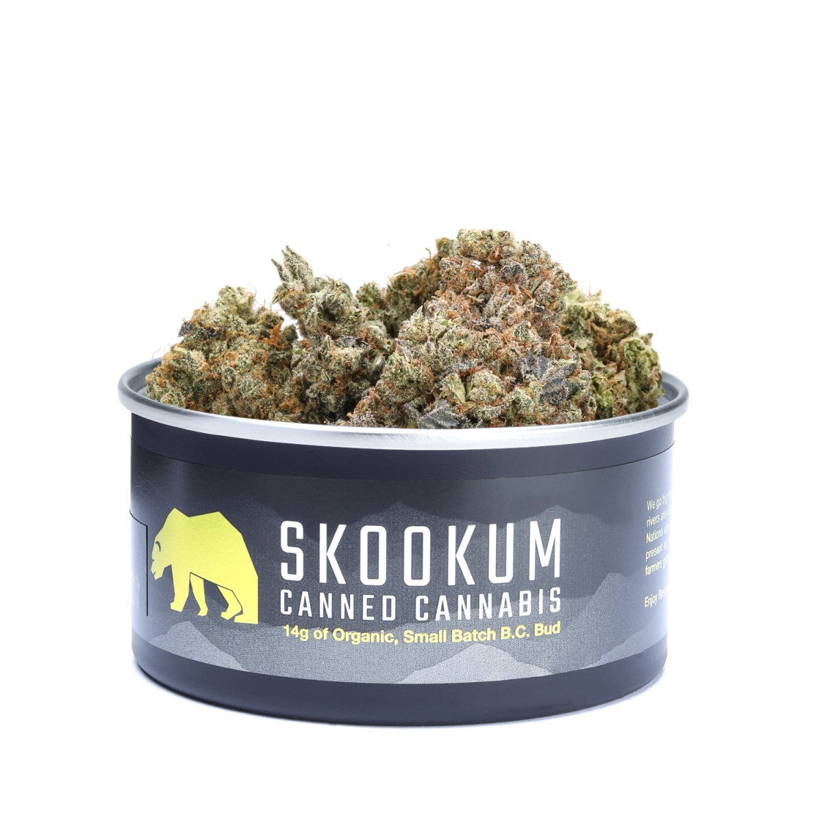 Private: Tin – Sour Garlic Cookies