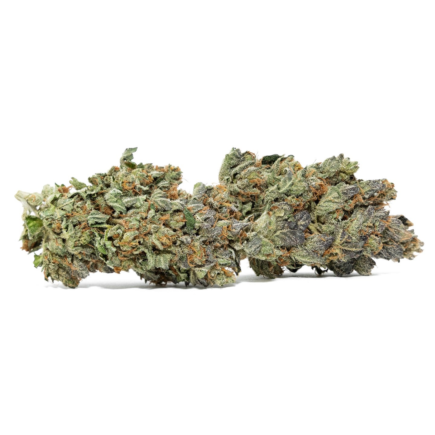 bc kush 1