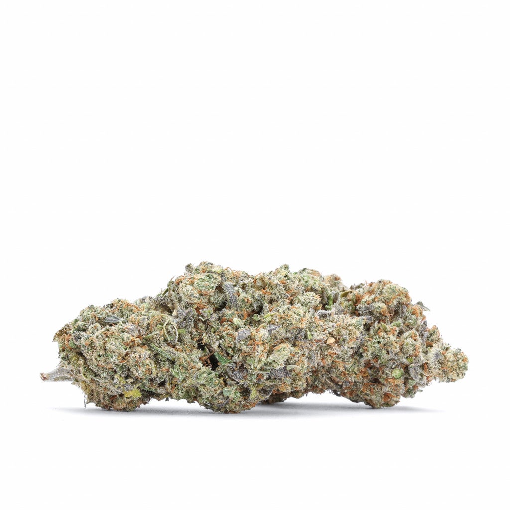 A large acorn-like bud of Super Lemon Haze strain on a white background.