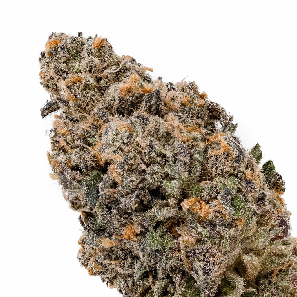 The Gelato Runtz strain on a white background. It's Forest green with bright green sprinkled across the bud, hints of purple with vibrant orange hairs covered in a coating of trichomes