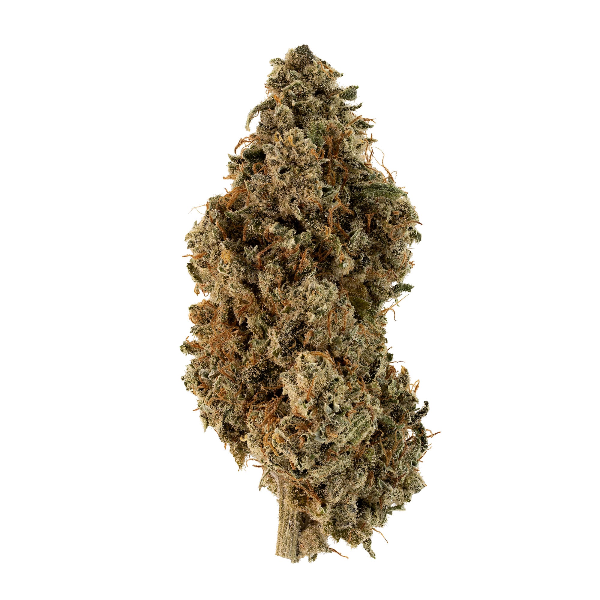 mandarin-cookie-haze-08-02-23-bud