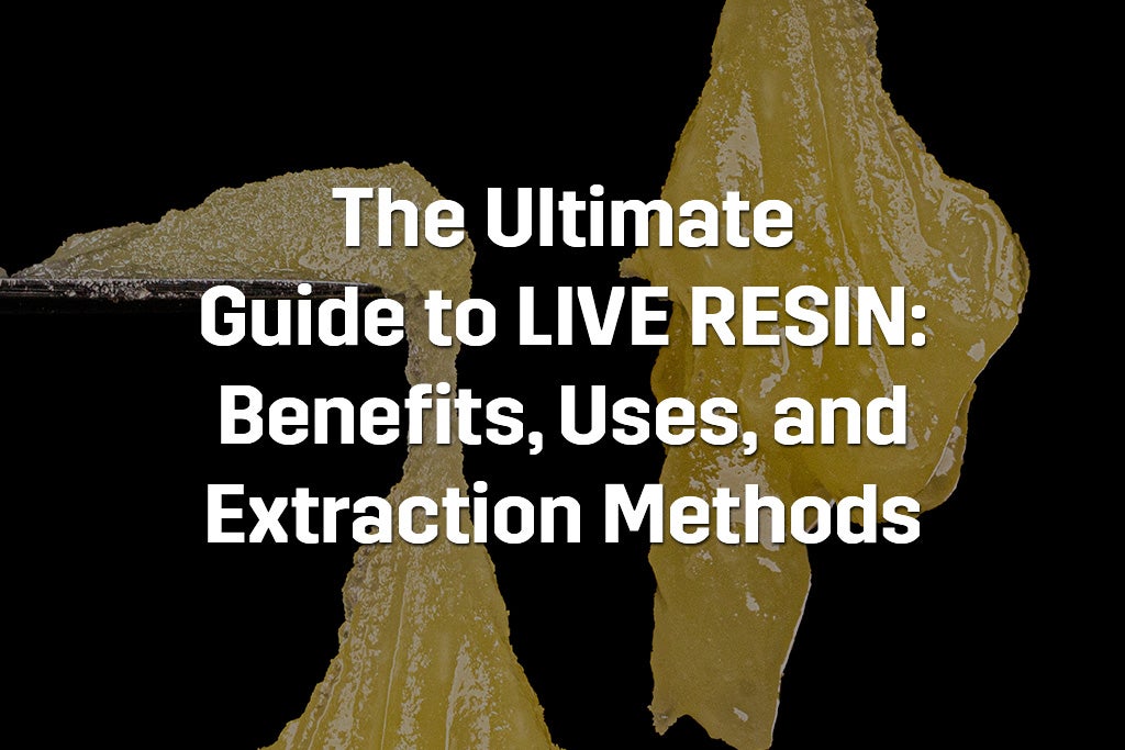 The Ultimate Guide to Live Resin: Benefits, Uses, and Extraction Methods