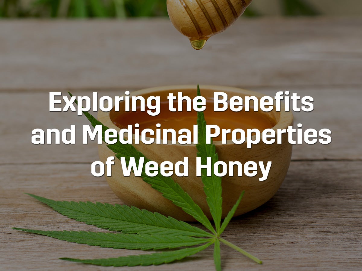 Exploring the Benefits and Medicinal Properties of Weed Honey