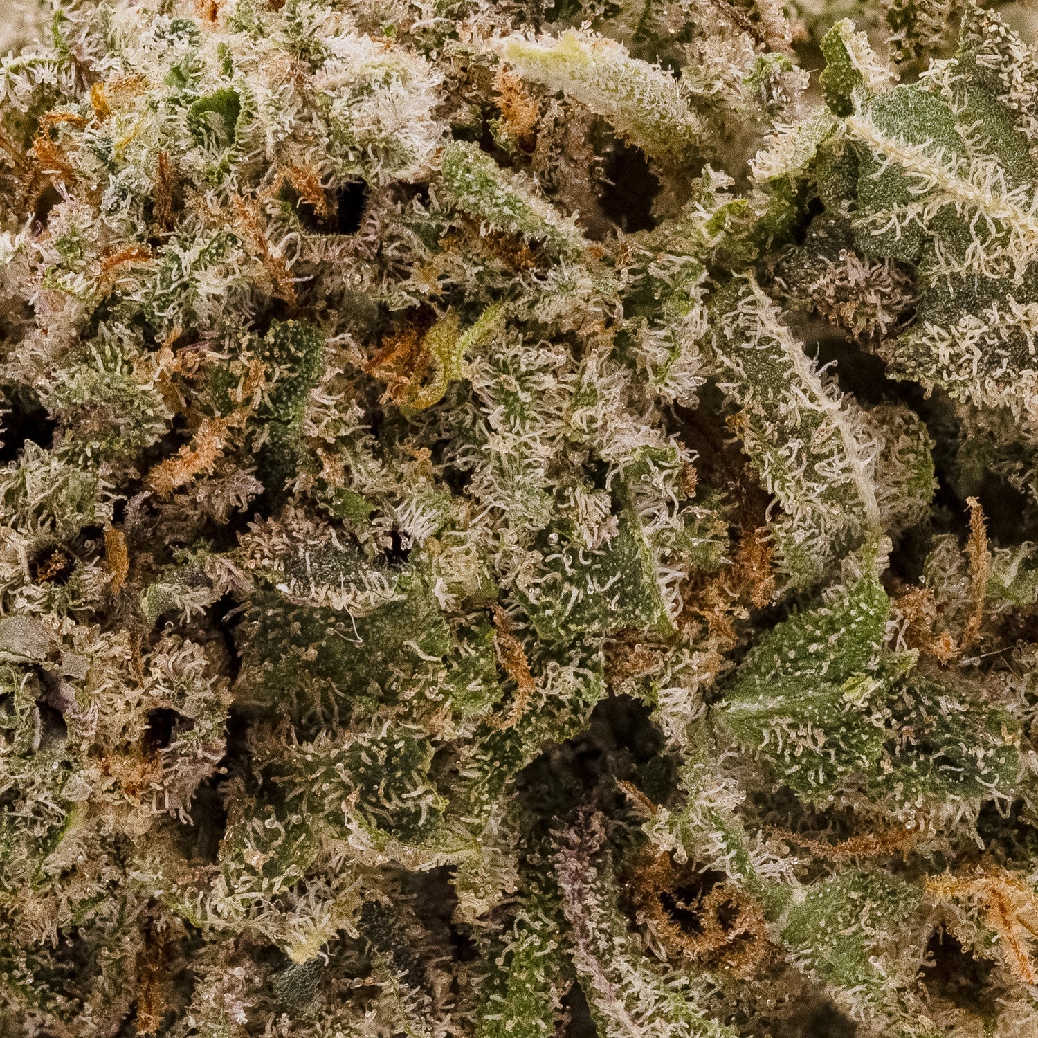 LavaCake-Superdank-05