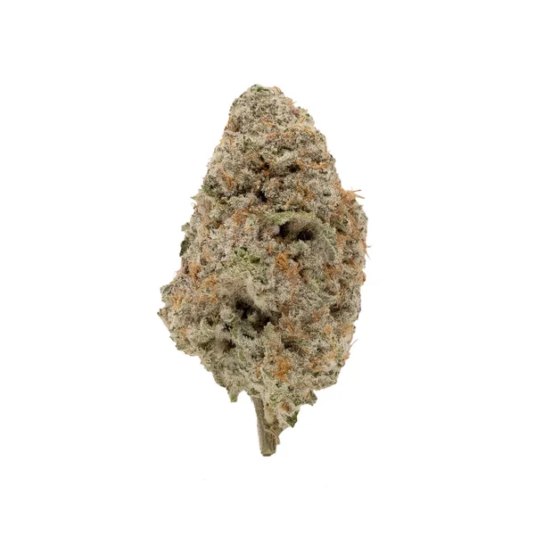 Jungle Ridge - Mac N Cookies