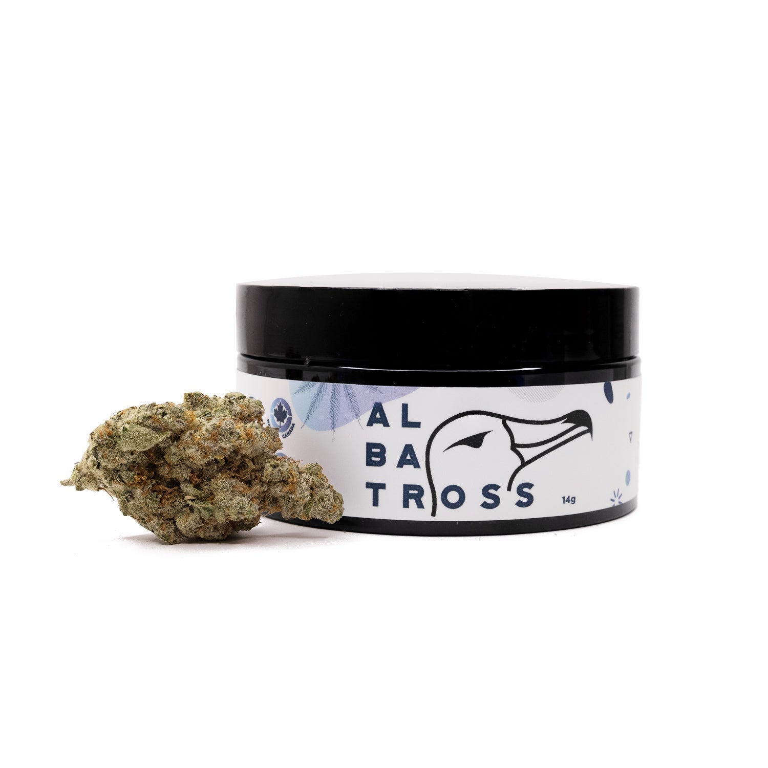 PanamaHaze-Albatross-01