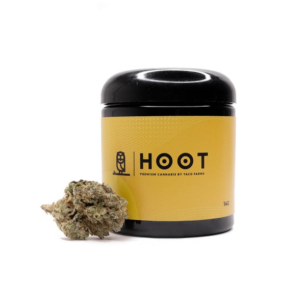 Hoot Cannabis - Tenacious
