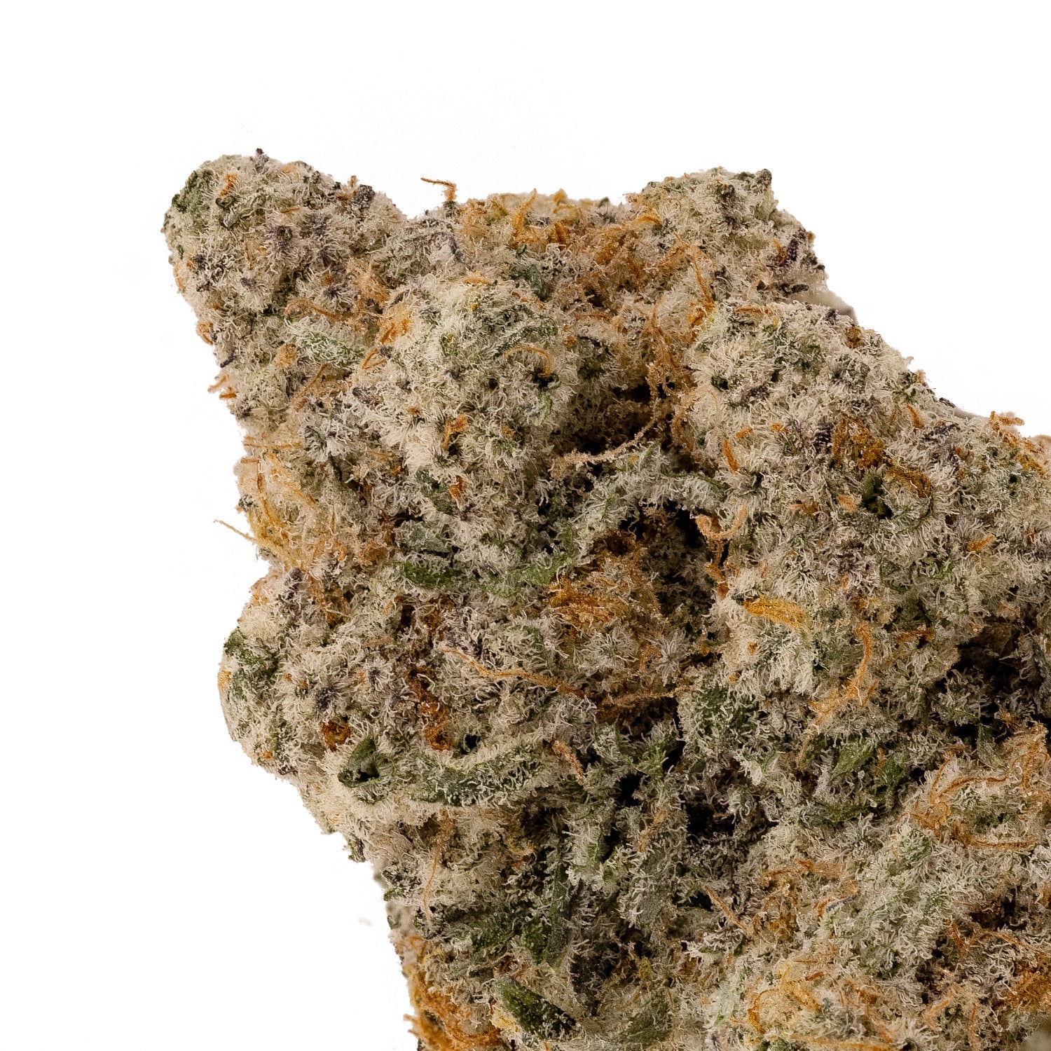 MiracleAllenCookies-LuckyFarms-04