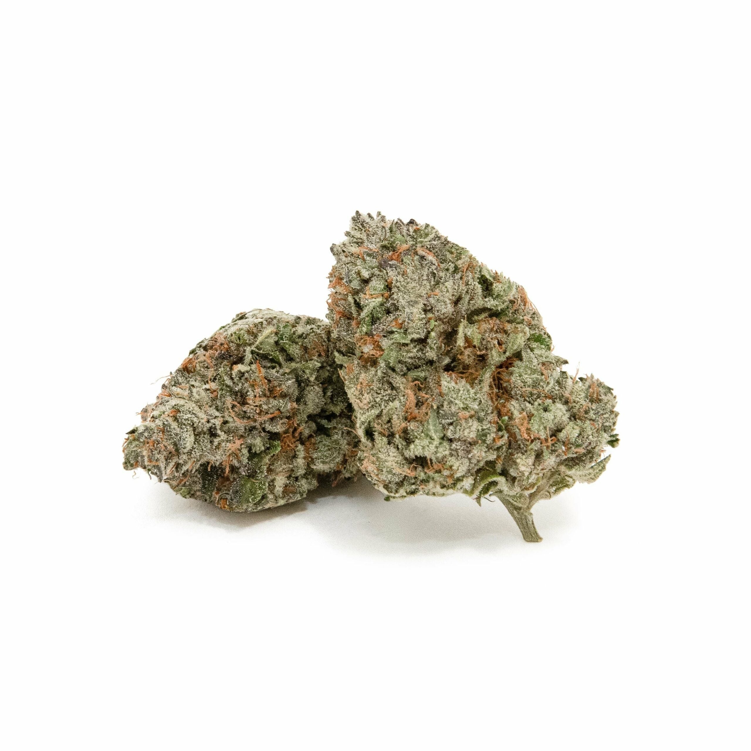 Purple-Kush-photo-2-BM-1-scaled-1.jpeg