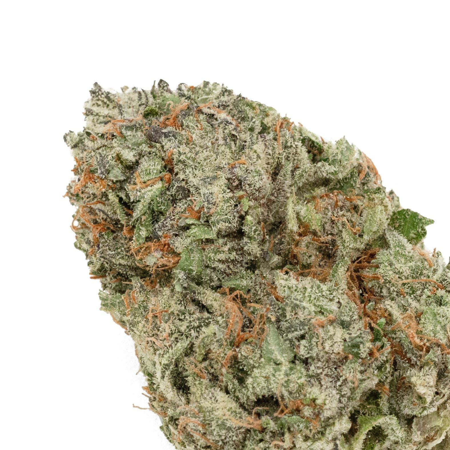 Purple-Kush-photo-4-ALL-1.jpeg