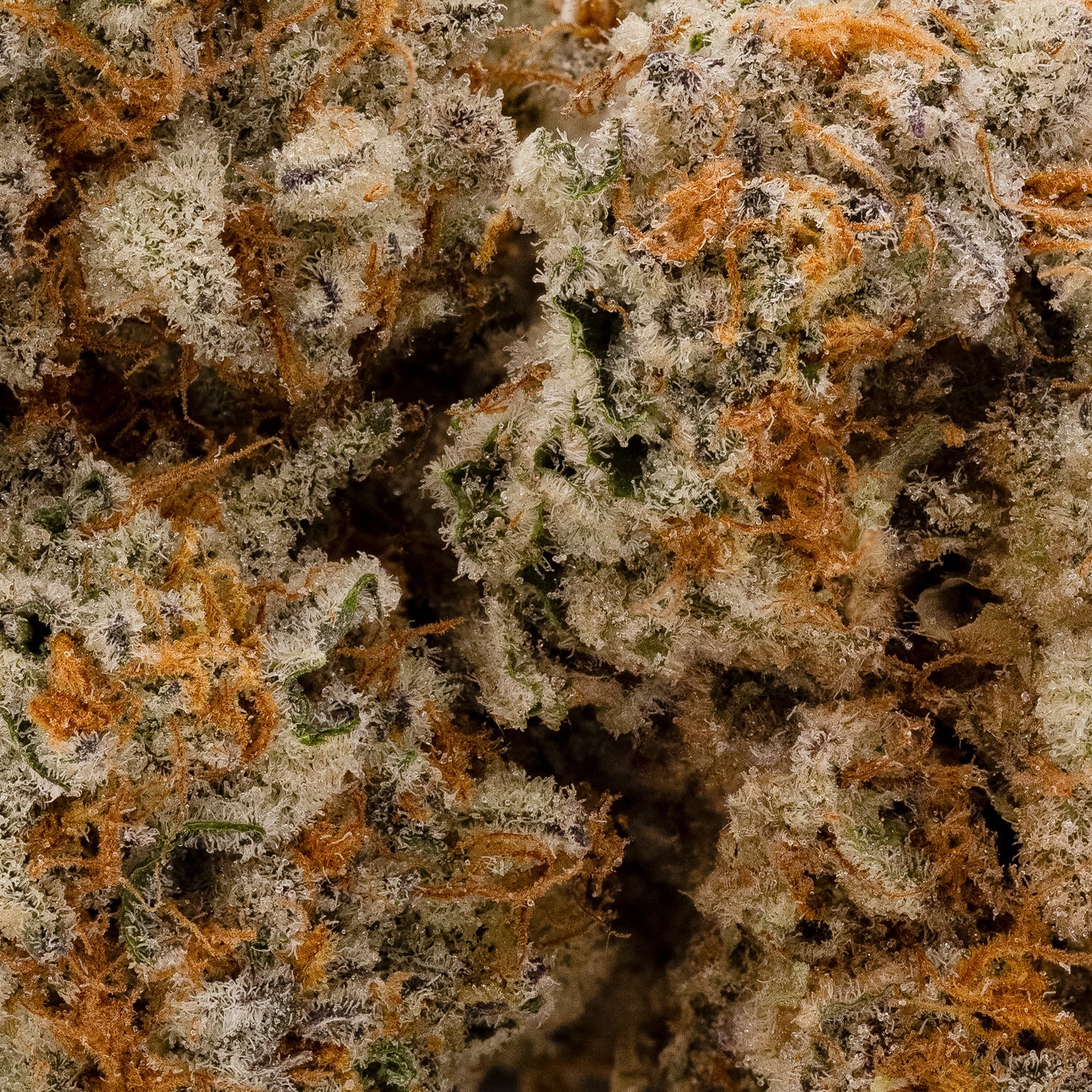 BigAppleButter-05