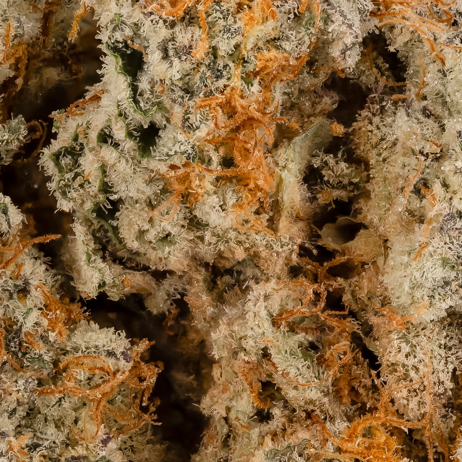 BigAppleButter-06
