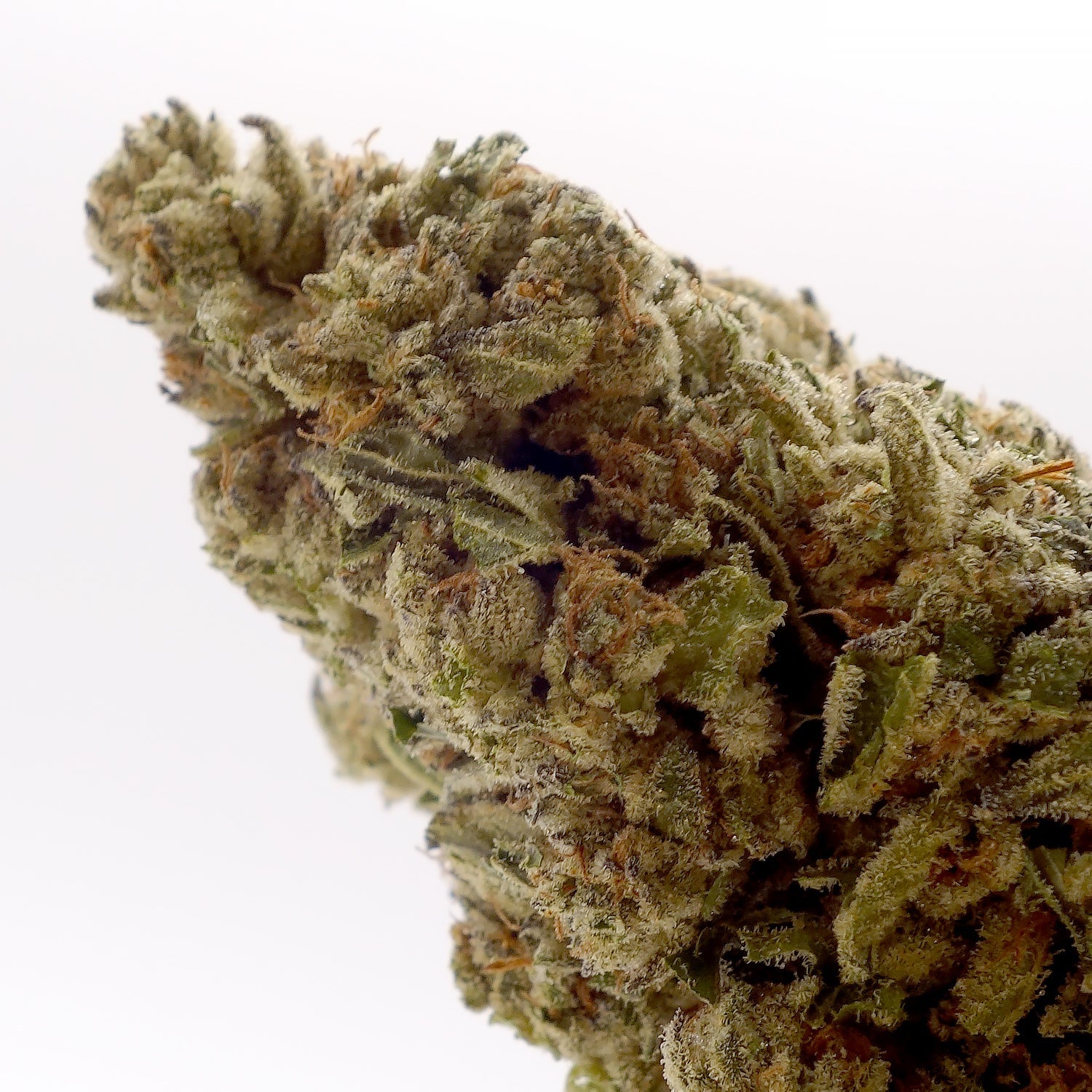 DollarTreez-Hash-Burger-04