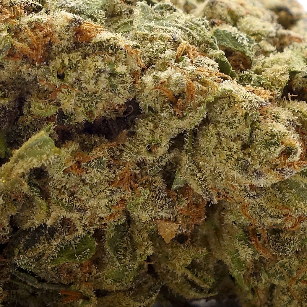 DollarTreez-Hash-Burger-05