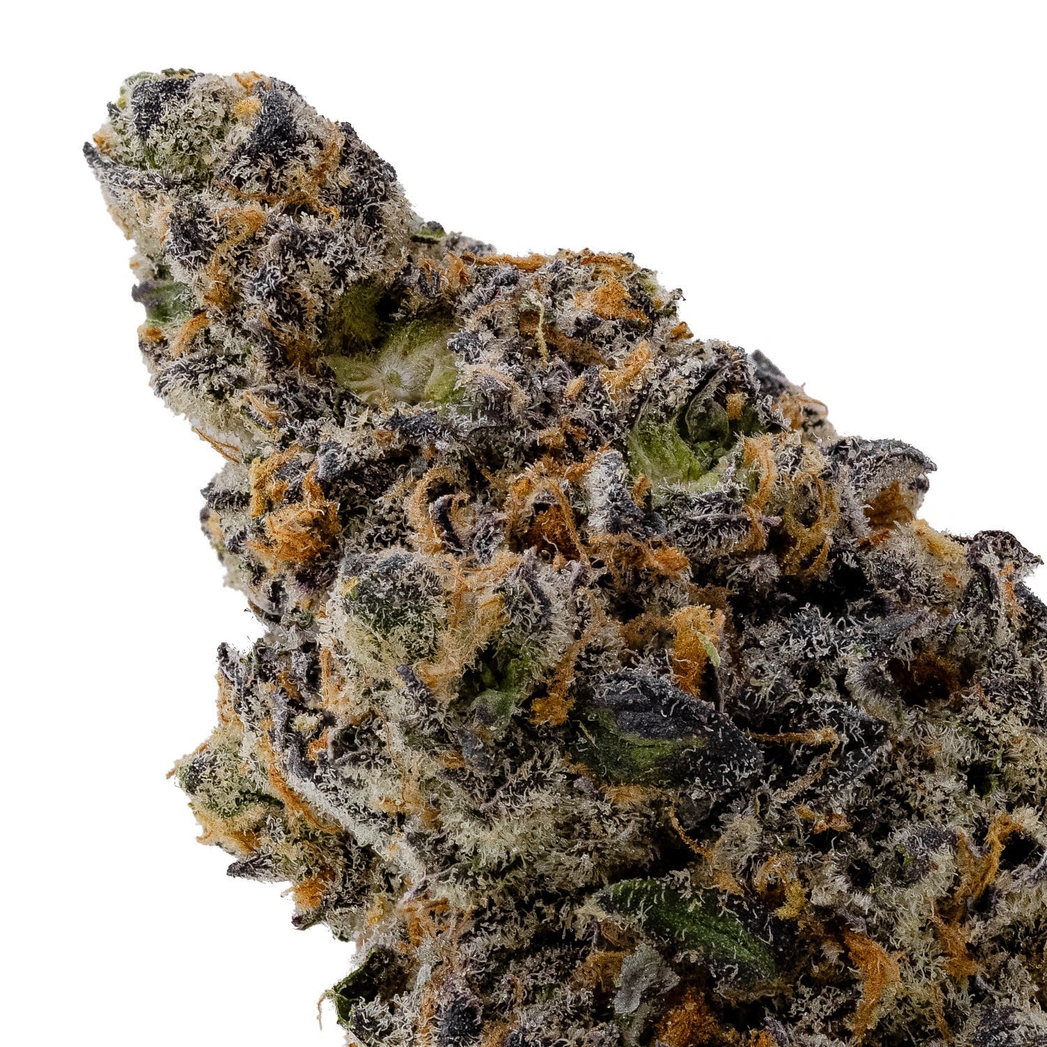 TangBreath-04