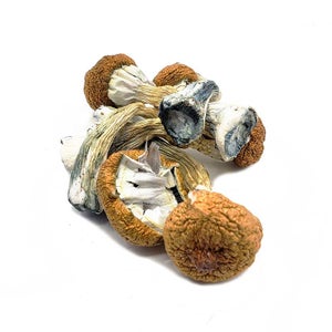 Mix & Match - Mushrooms - 4 x 3.5g (14g)