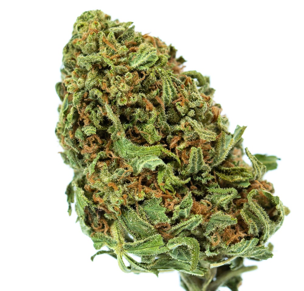 Exclusive Batch: Lodi Dodi (AA+)