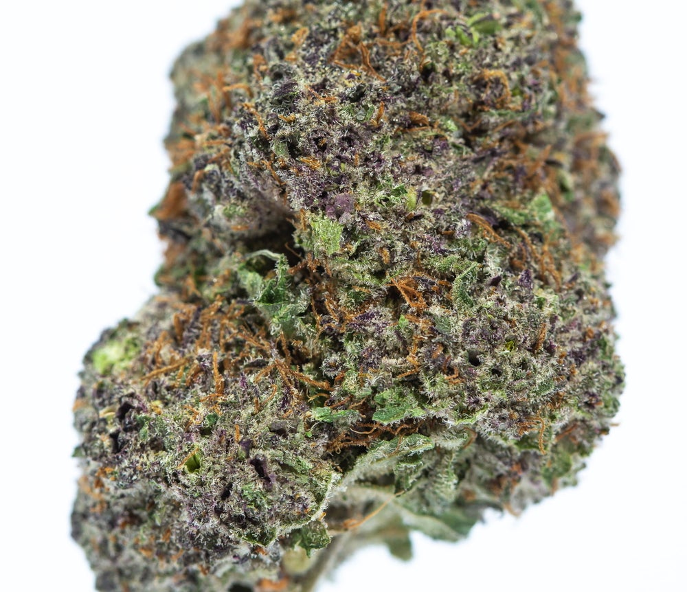 Purple God (AAA+)