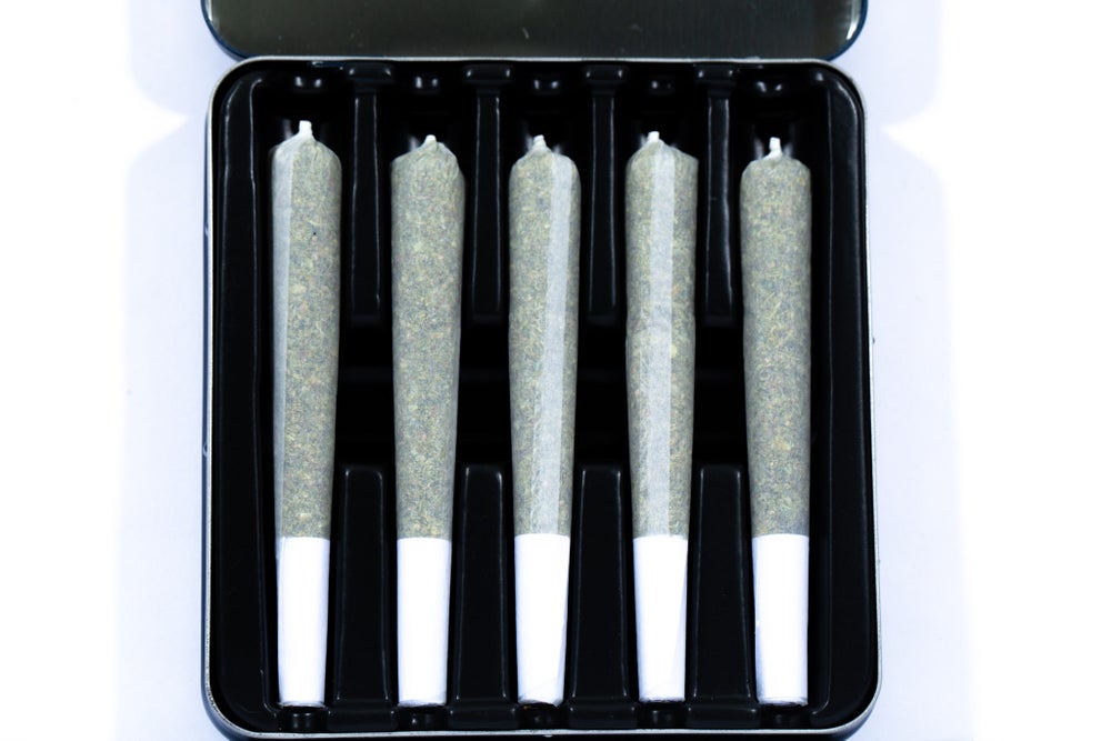 CBD - Renfrew Pre-Roll Pack