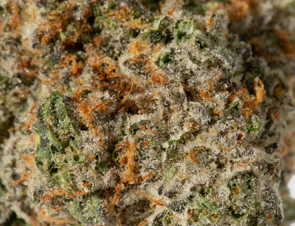 Candyland (AAAA)