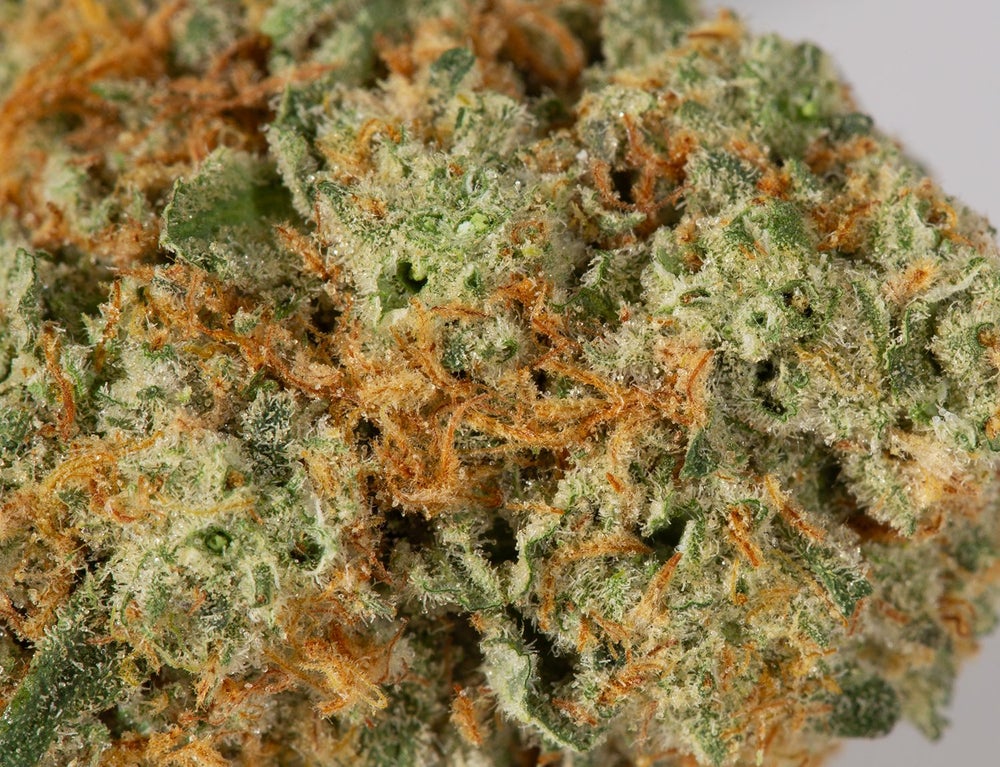 Animal Cookies (AAA+)