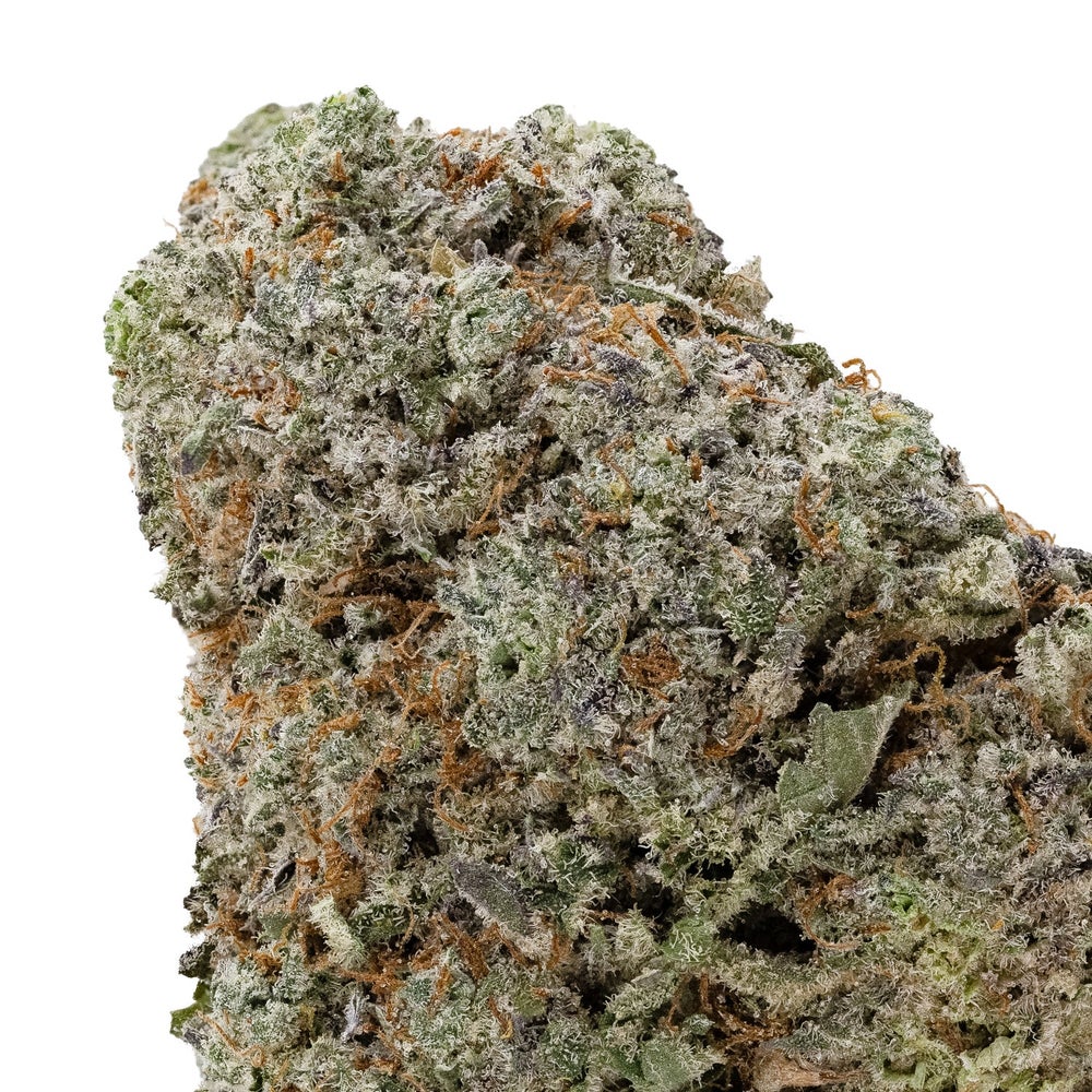 Black Domina (Lucky Farms)