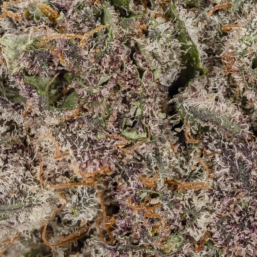 Cherry Tsunami (Hoot Cannabis)