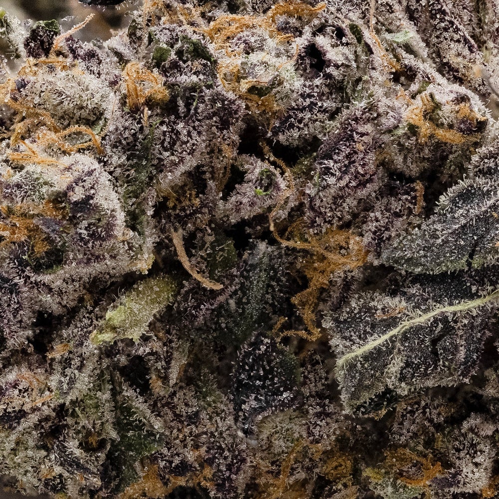 Purple Killer (Hoot Cannabis)