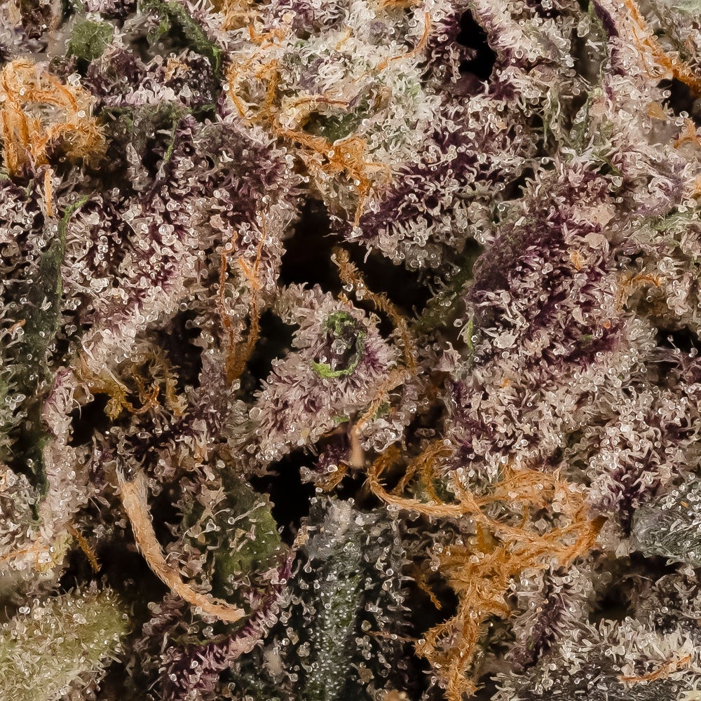 Purple Killer (Hoot Cannabis)