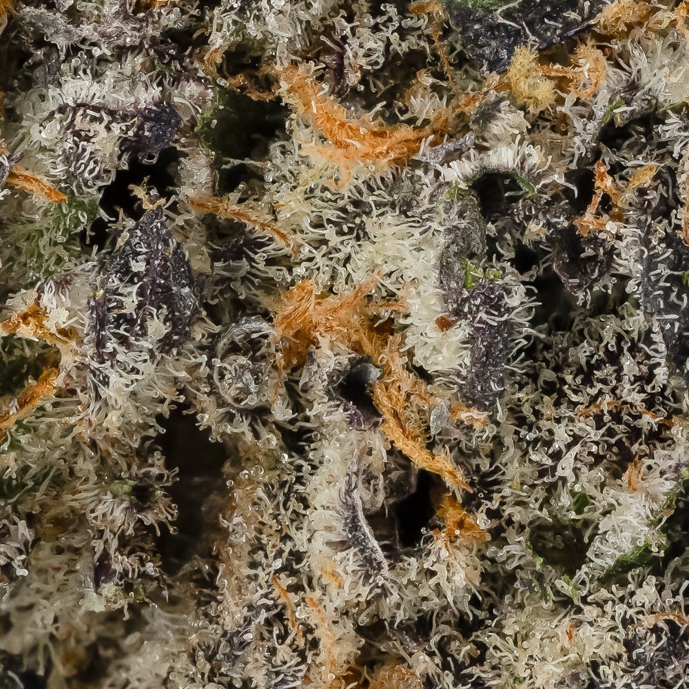 Tang Breath (Hoot Cannabis)