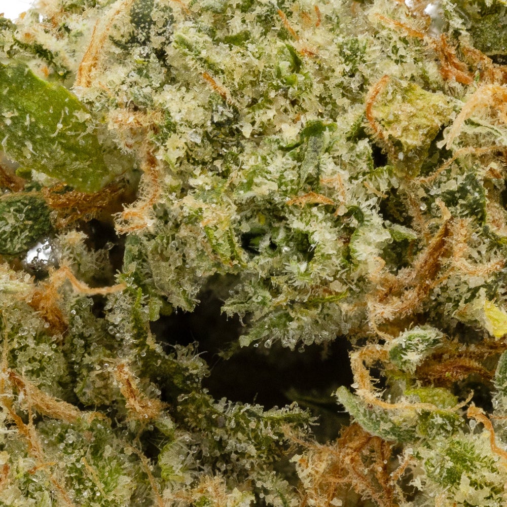 Hoot Cannabis - Super Lemon Kush