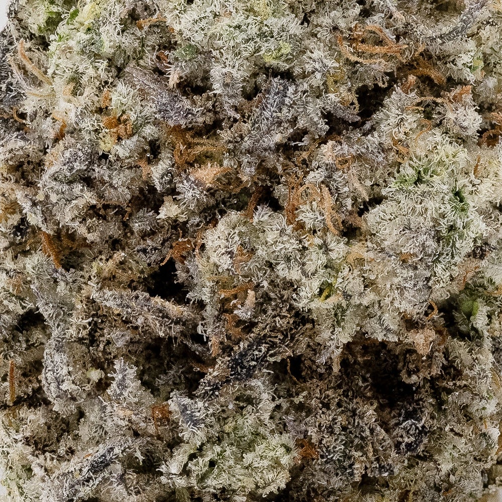 Lucky Farms - Jet Fuel