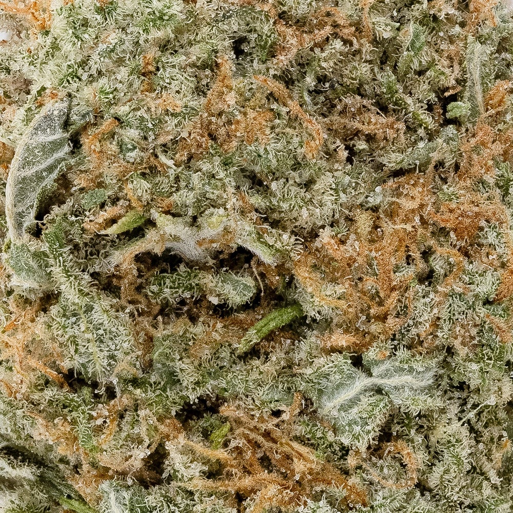 Lucky Farms - Nuken