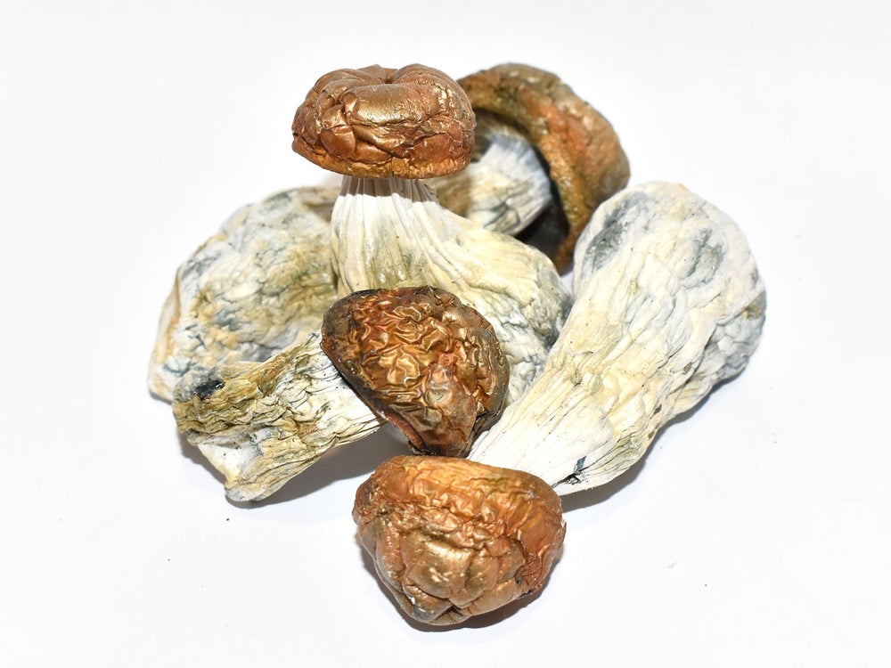 HH - Code Blue (Dried Magic Mushrooms)