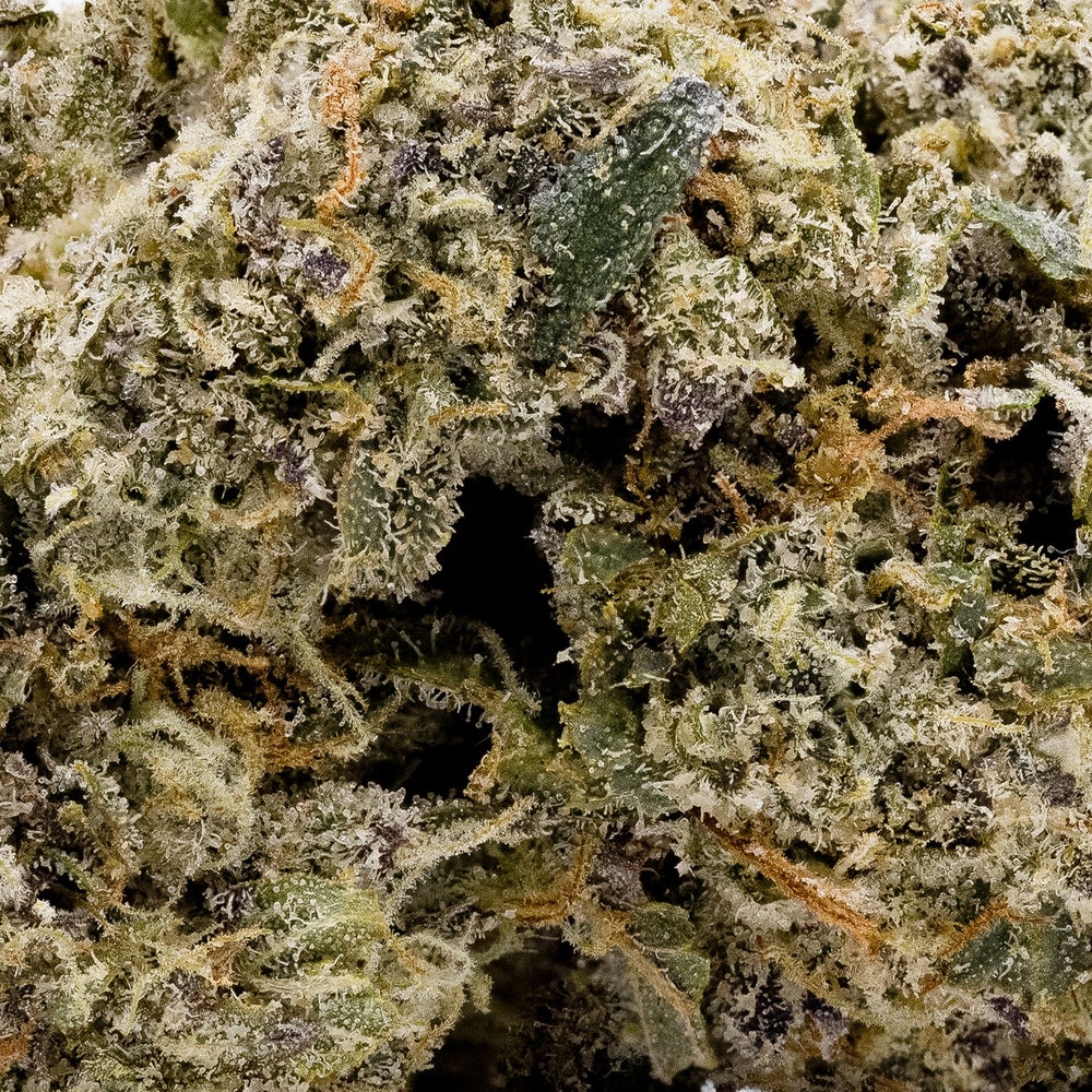 Hoot Cannabis - Mad Dawg