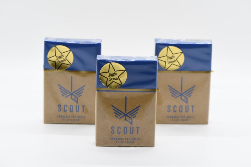 Scout - Stash Series Pre-Roll Pack (0.5g)