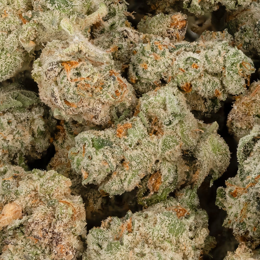 Fun Buds - Girl Scout Cookies (Smalls)