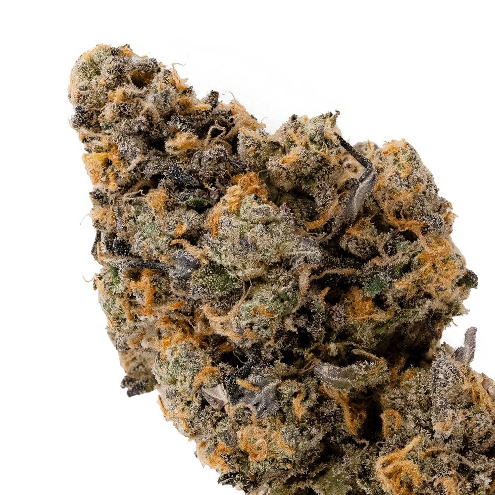 Vibrant Cannabis - Jack Hammer