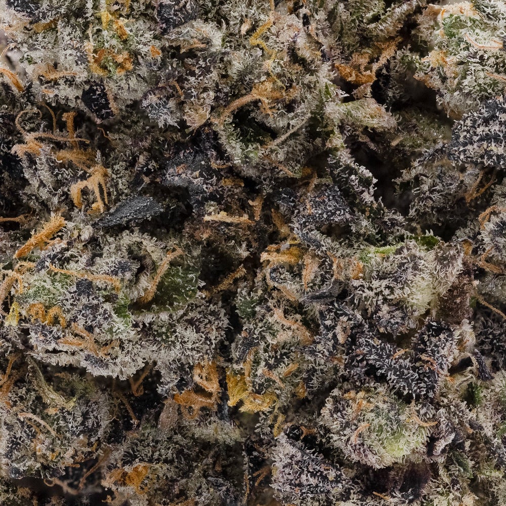 Oso Fuego - Rainbow Chip #4