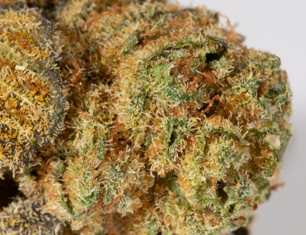 Sour Candy (AA)