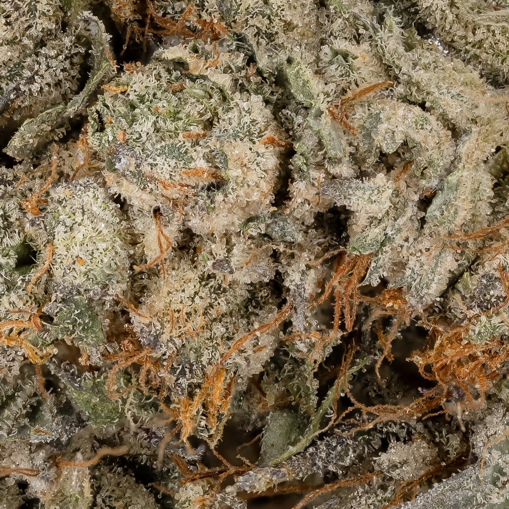 Lucky Farms - Animal Cookies (Smalls)