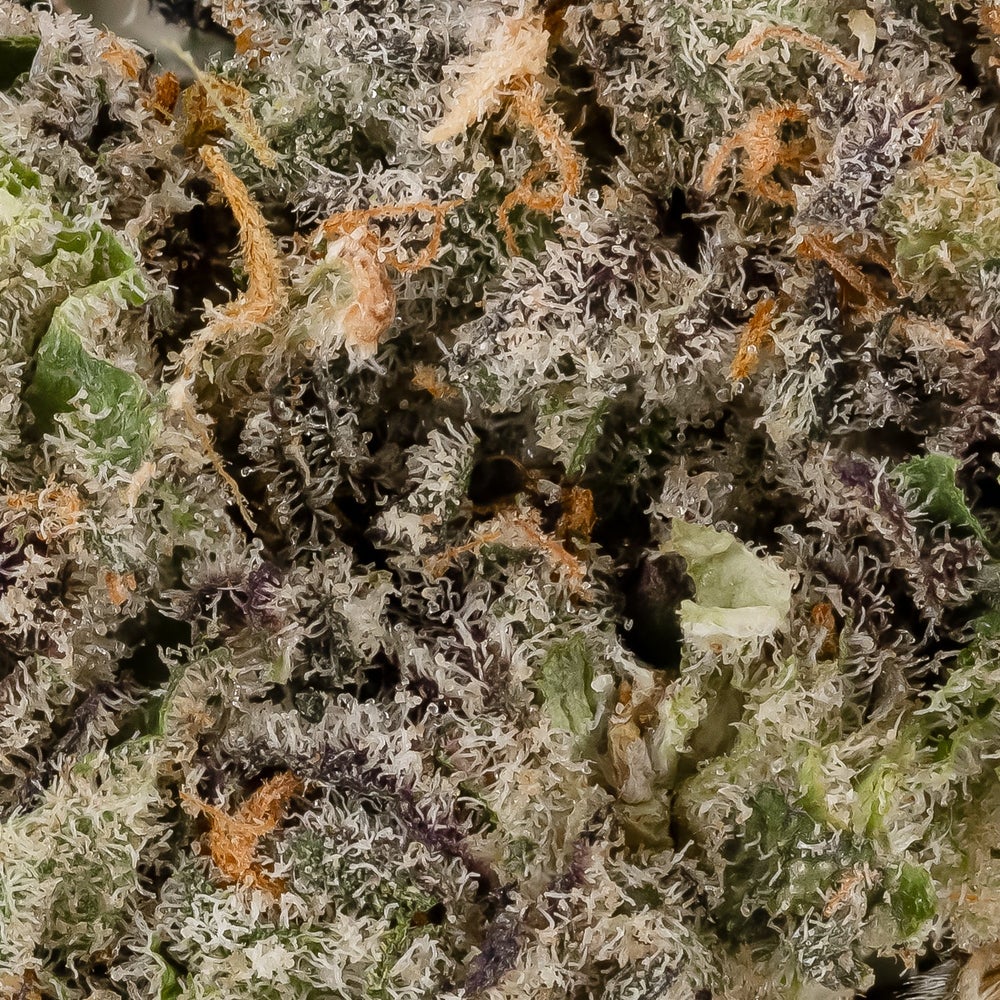 Vibrant Cannabis - Wedding Crasher