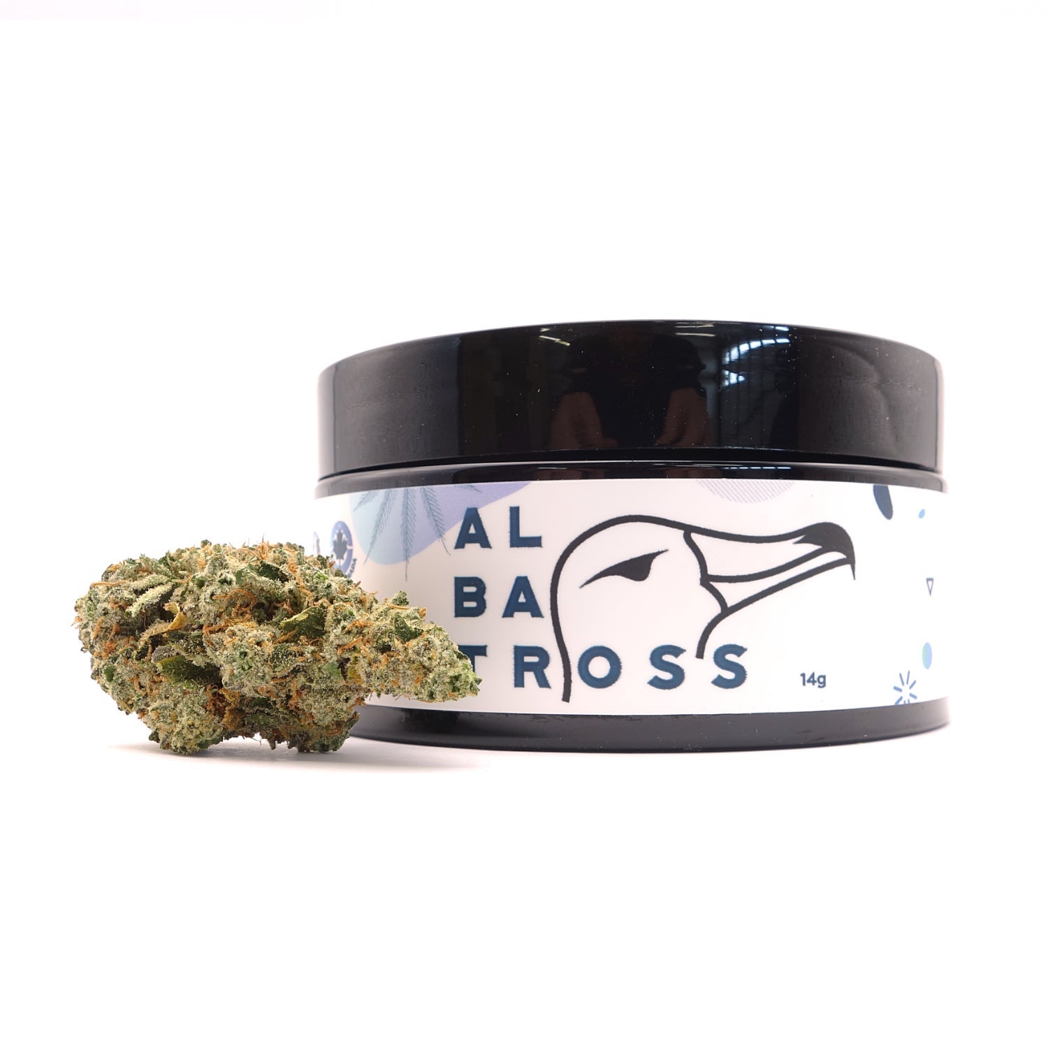 Albatross - Cranebow - Image 5