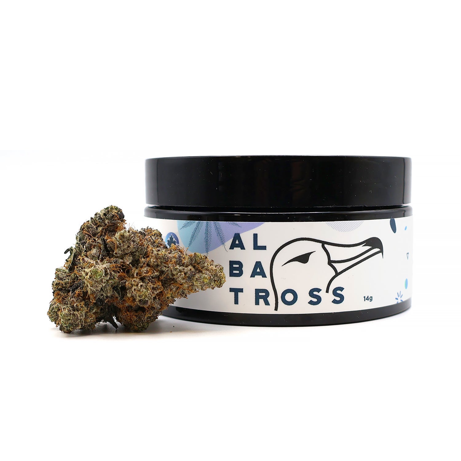 Albatross - Gucci Pink - Image 7