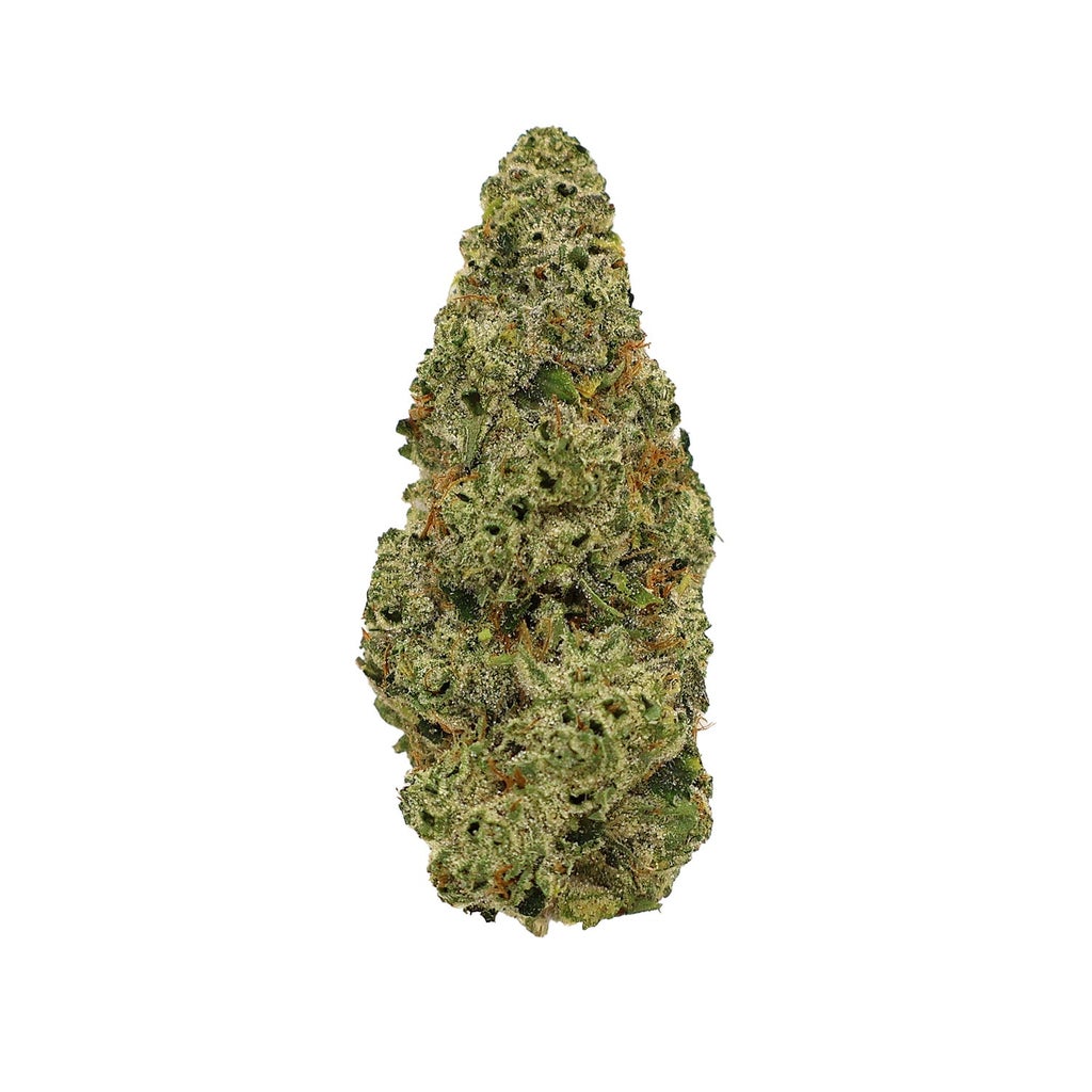 Albatross - Legend OG